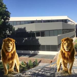 Meet your Posher, Leonel